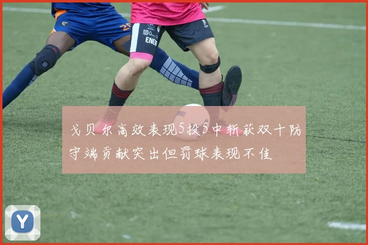 戈贝尔高效表现5投5中斩获双十防守端贡献突出但罚球表现不佳