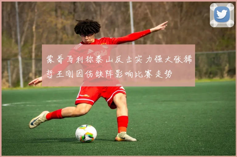 蒙哥马利称泰山反击实力强大张稀哲王刚因伤缺阵影响比赛走势