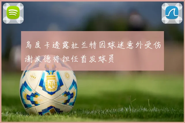 乌度卡透露杜兰特因球迷意外受伤谢泼德将担任首发球员